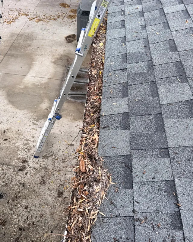 Gutter along a shingle roof packed with leaves and debris
