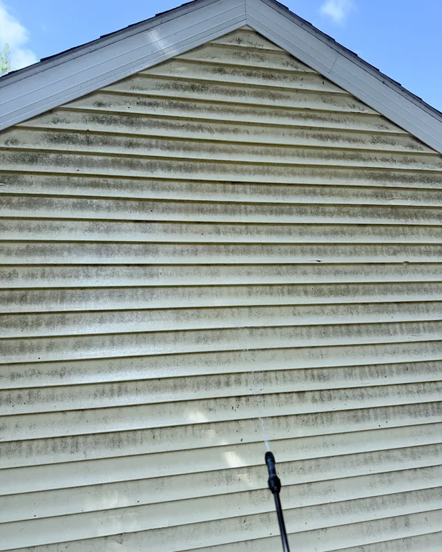 Vinyl siding gable streaked with green algae before washing