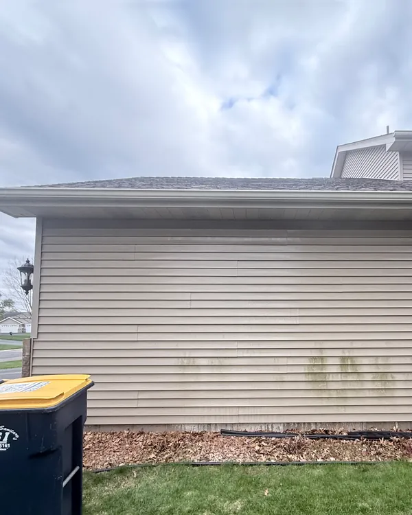 Detached garage with green staining along the siding before washing