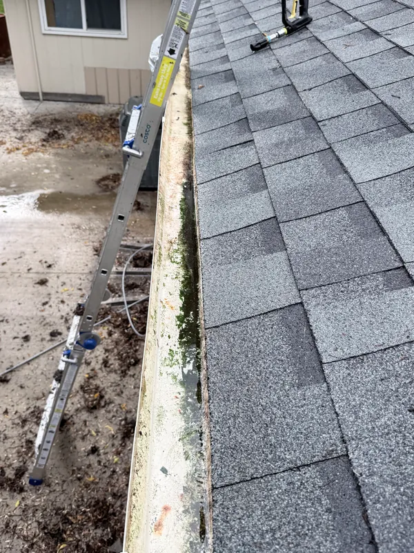 Gutter along a shingle roof, cleared of debris