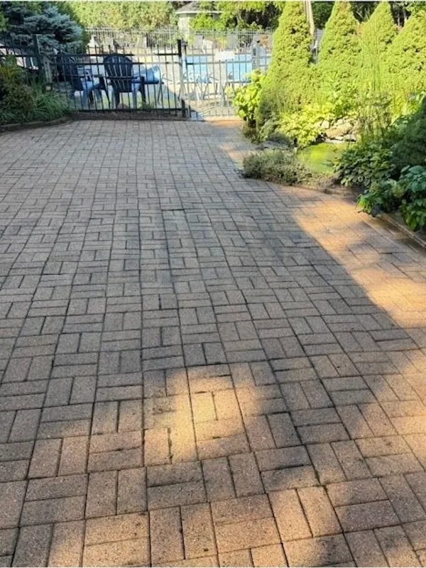 Paver patio path lined with plants after washing